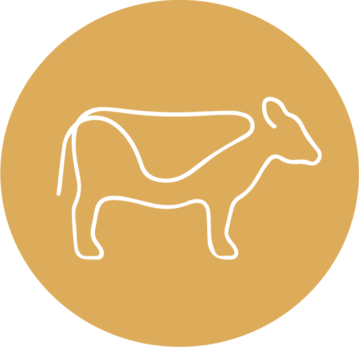 Herkunft des Rindfleisch bei der Metzgerei Ropertz